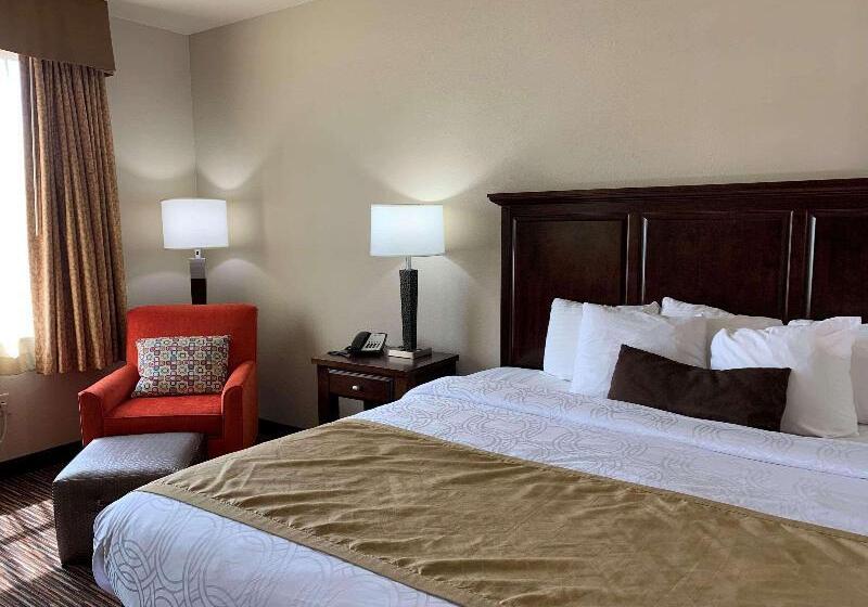 غرفة قياسية سرير كينج, Holiday Inn Express Hotel & Suites   Sumter, An Ihg