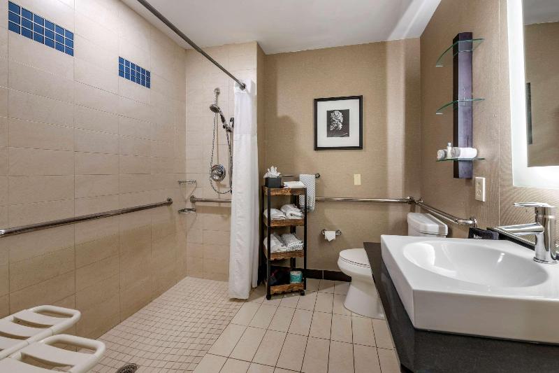 חדר סטנדרט עם מיטת קינג, Holiday Inn Express Hotel & Suites   Sumter, An Ihg