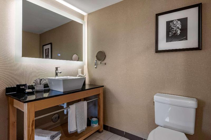 스탠다드 룸 킹사이즈 침대, Holiday Inn Express Hotel & Suites   Sumter, An Ihg