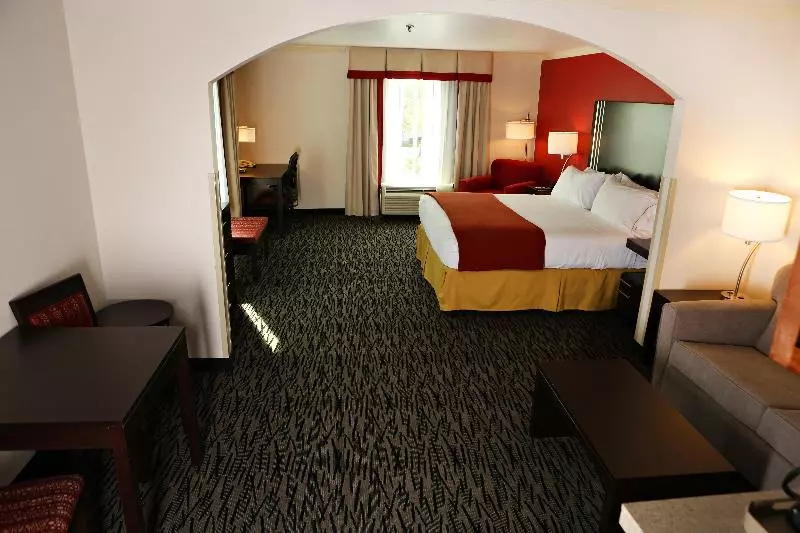 キングサイズベッドのスイートルーム, Holiday Inn Express Hotel & Suites   Sumter, An Ihg