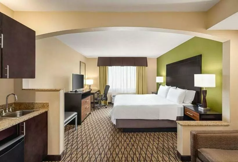 キングサイズベッドのエクゼクティブルーム, Holiday Inn Express Hotel & Suites Edmond, An Ihg