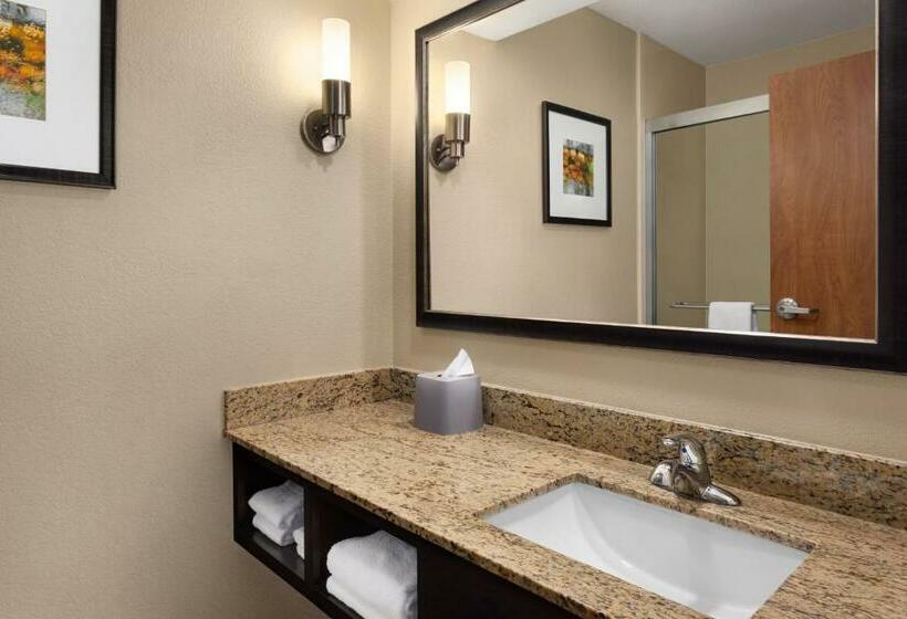이그제큐티브 룸 킹사이즈 침대, Holiday Inn Express Hotel & Suites Edmond, An Ihg