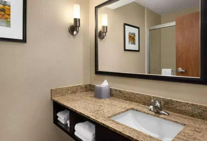 キングサイズベッドのエクゼクティブルーム, Holiday Inn Express Hotel & Suites Edmond, An Ihg