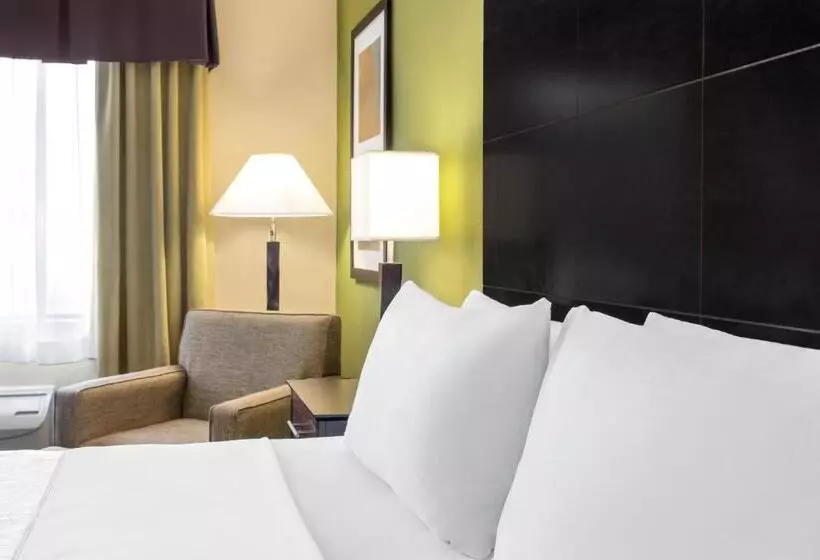 キングサイズベッドのスタンダードルーム, Holiday Inn Express Hotel & Suites Edmond, An Ihg