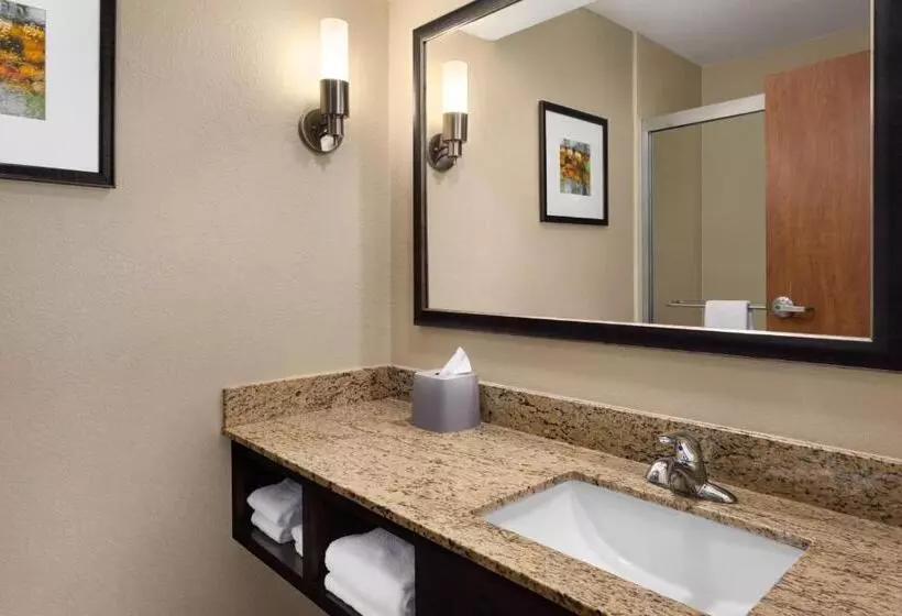 キングサイズベッドのスタンダードルーム, Holiday Inn Express Hotel & Suites Edmond, An Ihg