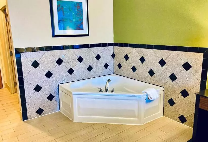 キングサイズベッドのスイートルーム, Holiday Inn Express Hotel & Suites Edmond, An Ihg