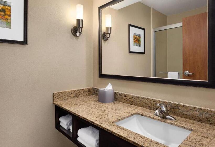 جناح سرير كينج, Holiday Inn Express Hotel & Suites Edmond, An Ihg