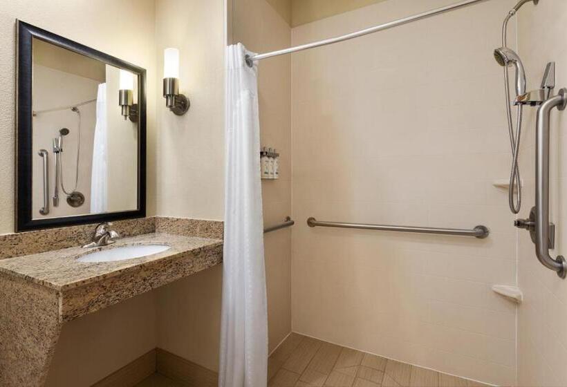 장애인을 위한 킹사이즈 침대 스탠다드 룸, Holiday Inn Express Hotel & Suites Edmond, An Ihg