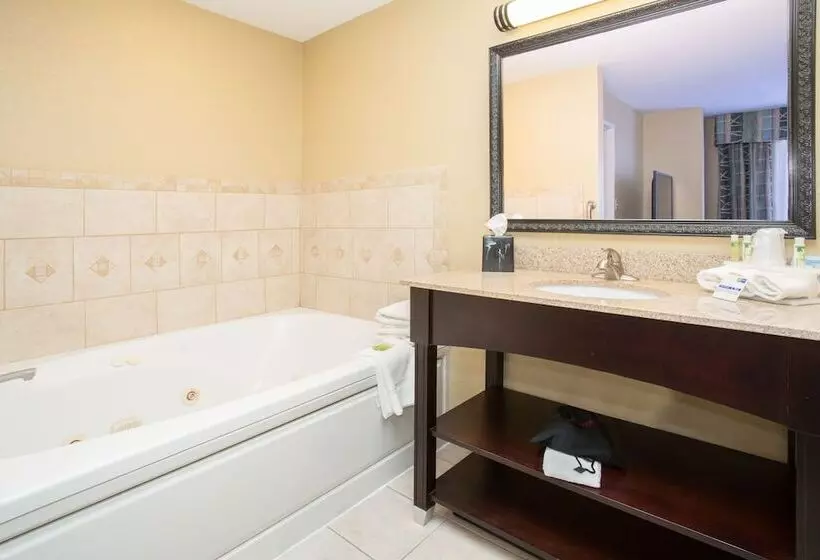 スイート, Holiday Inn Express Hotel & Suites Lexington, An Ihg