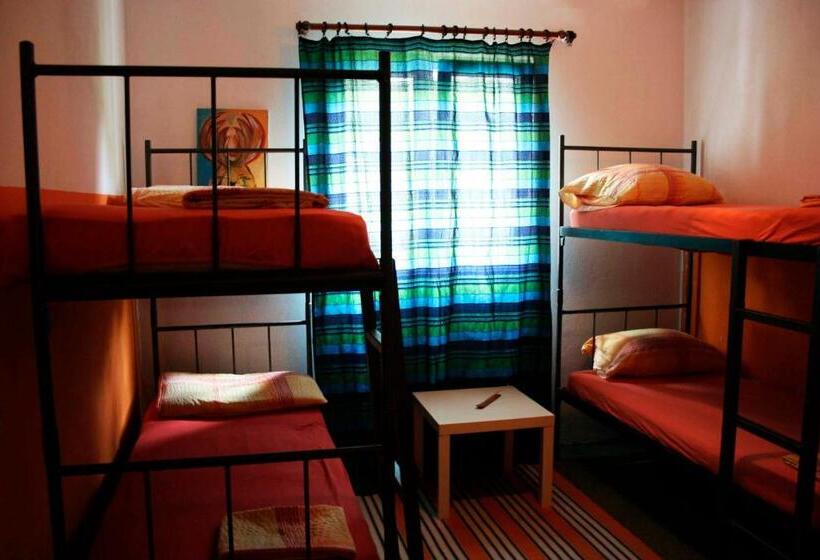اتاق استاندارد چهارنفره با سرویس بهداشتی مشترک, Hostel Anton