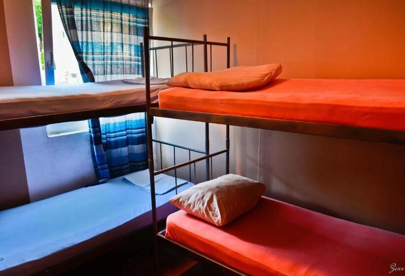 اتاق استاندارد چهارنفره با سرویس بهداشتی مشترک, Hostel Anton