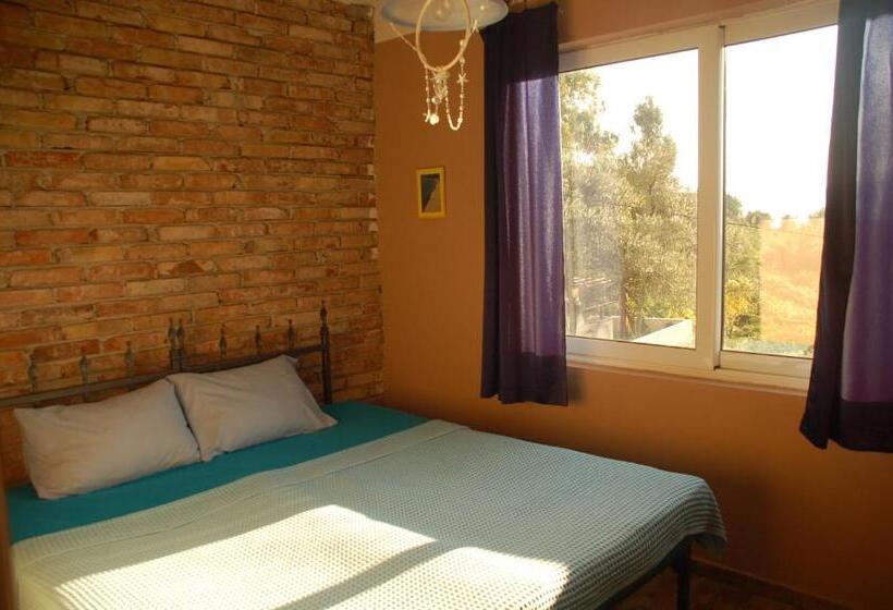 اتاق استاندارد با سرویس بهداشتی مشترک, Hostel Anton