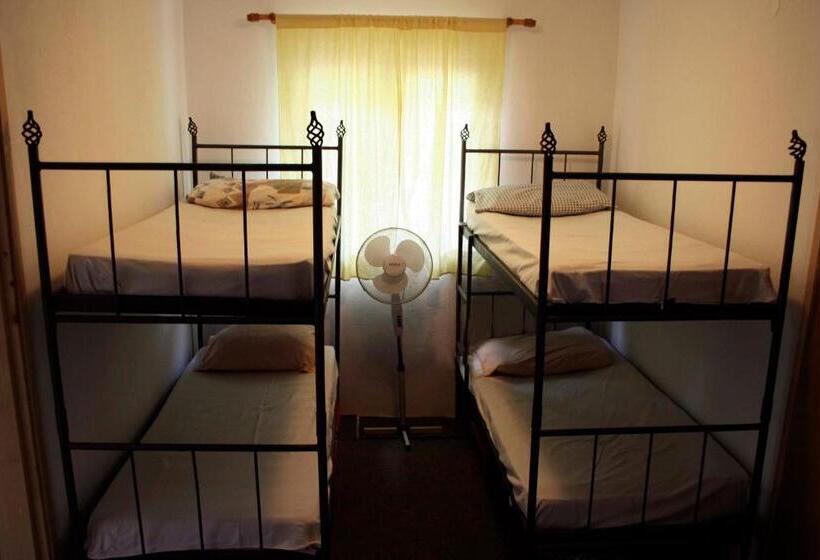 تختخواب در اتاق مشترک, Hostel Anton