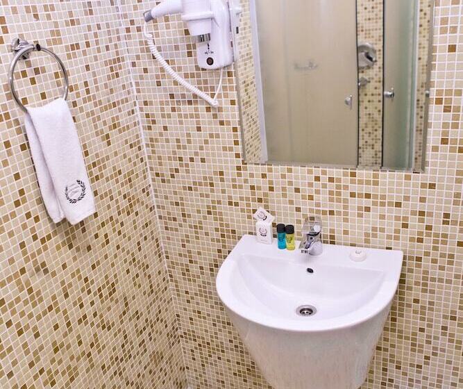 اتاق استاندارد یک نفره, Pensiune Turistica Olsi