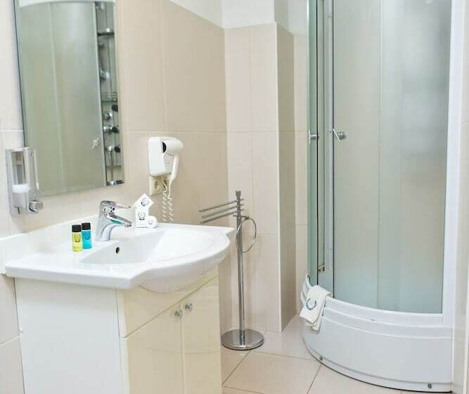 اتاق استاندارد یک نفره, Pensiune Turistica Olsi