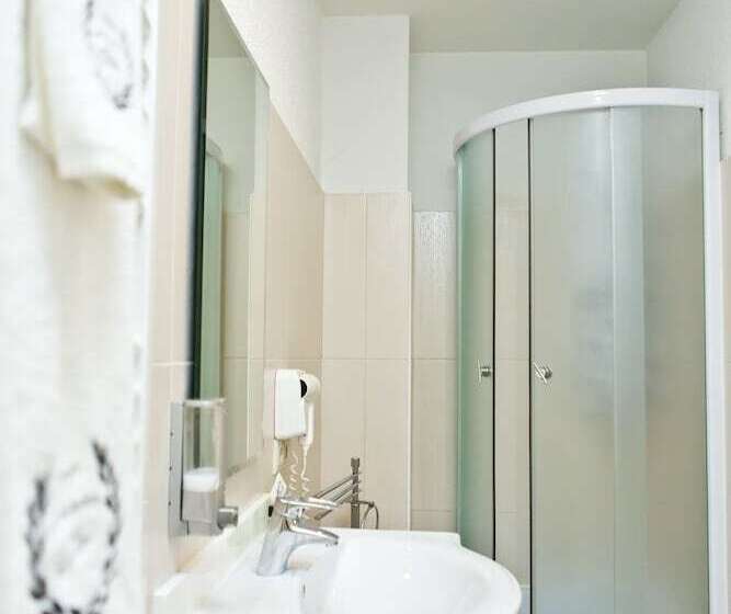 اتاق استاندارد یک نفره, Pensiune Turistica Olsi