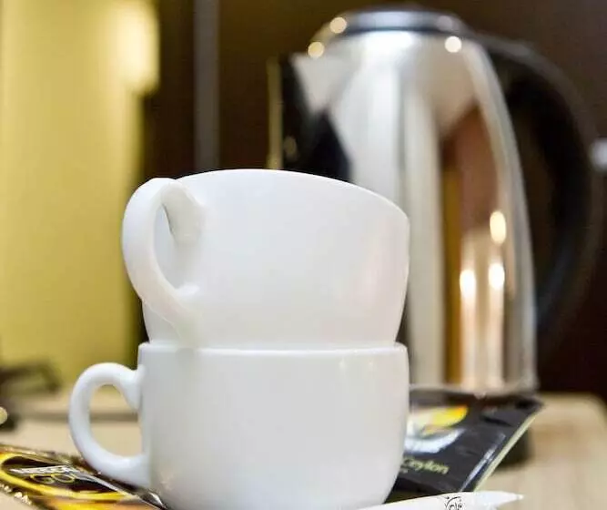 اتاق استاندارد یک نفره, Olsi
