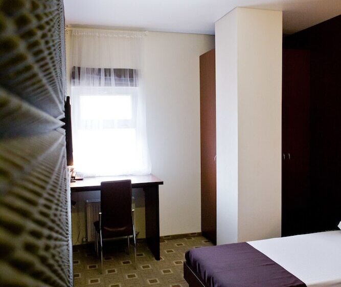 اتاق استاندارد یک نفره, Pensiune Turistica Olsi