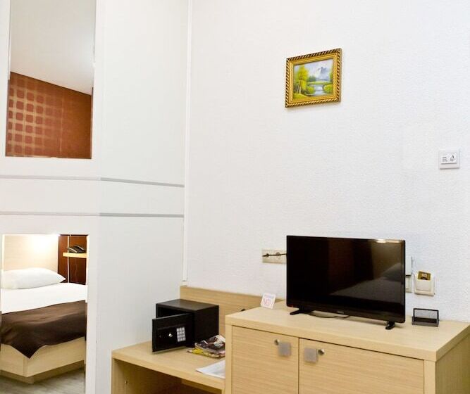 اتاق استاندارد یک نفره, Pensiune Turistica Olsi