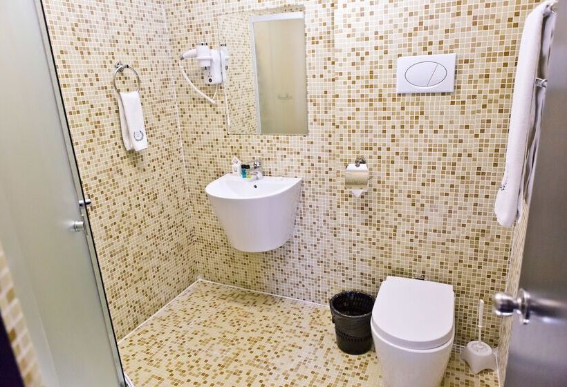 اتاق لوکس یک تخته, Pensiune Turistica Olsi