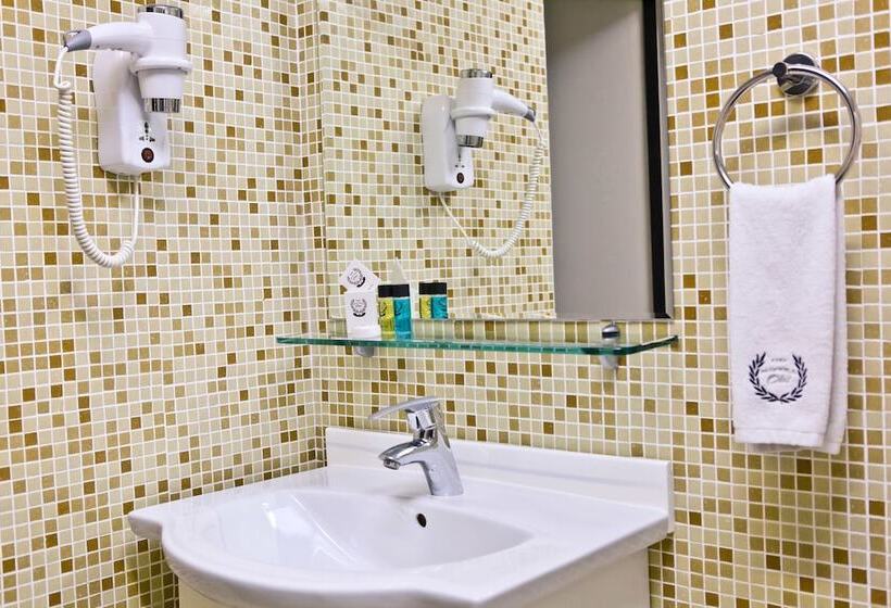 اتاق لوکس یک تخته, Pensiune Turistica Olsi