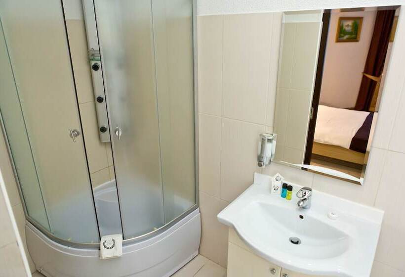 اتاق استاندارد, Pensiune Turistica Olsi