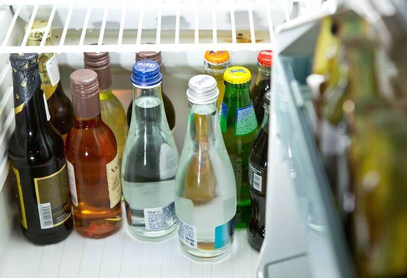 اتاق استاندارد, Pensiune Turistica Olsi