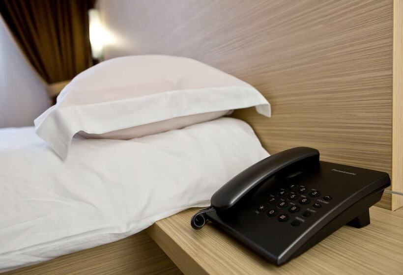 اتاق استاندارد, Pensiune Turistica Olsi