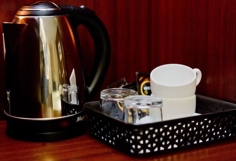 اتاق لوکس, Pensiune Turistica Olsi