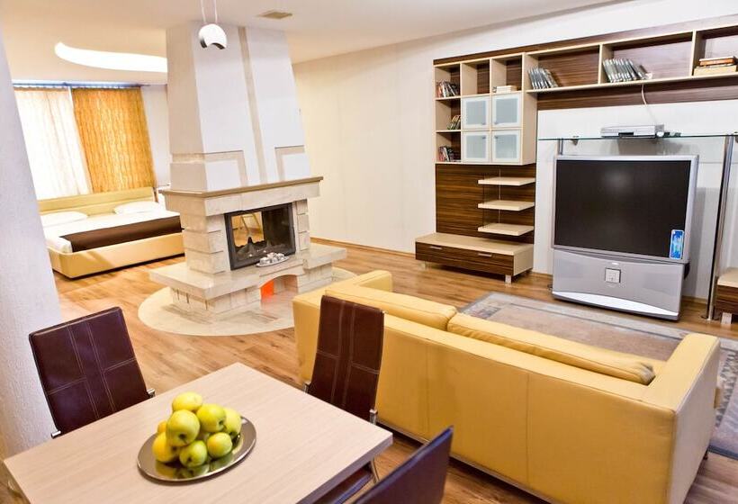 آپارتمان 1 خوابه, Pensiune Turistica Olsi