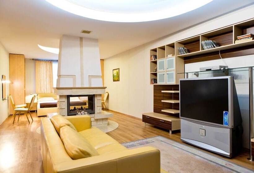 آپارتمان 1 خوابه, Pensiune Turistica Olsi