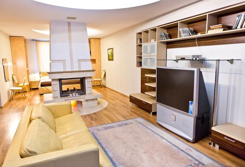 آپارتمان 1 خوابه, Pensiune Turistica Olsi