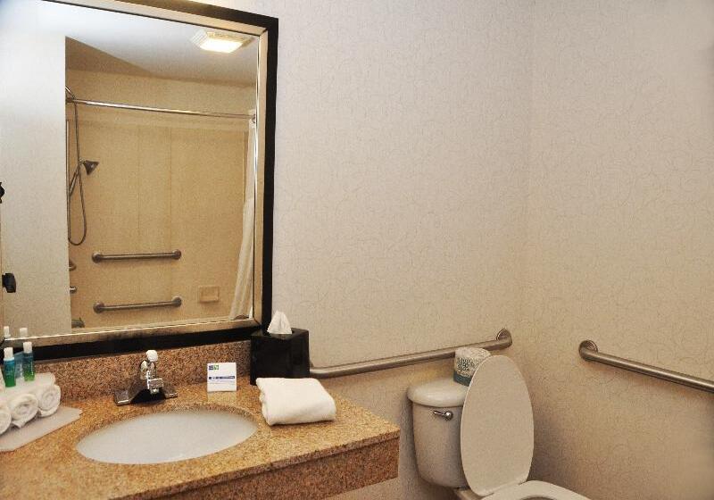 غرفة قياسية لذوى الاحتياجات الخاصة, Holiday Inn Express & Suites Lancaster By Ihg