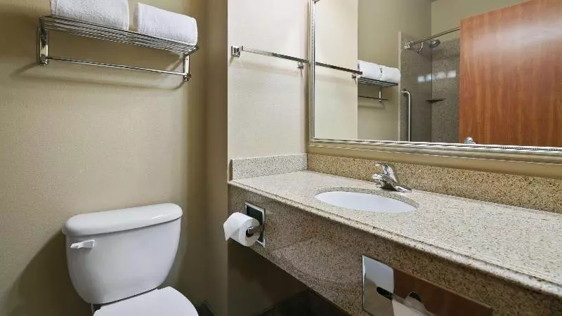 キングサイズベッドのスタンダードルーム, Holiday Inn Express & Suites Lancaster By Ihg