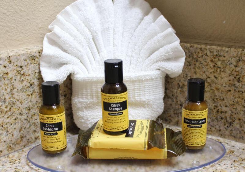 غرفة قياسية سرير كينج, Holiday Inn Express & Suites Lancaster By Ihg