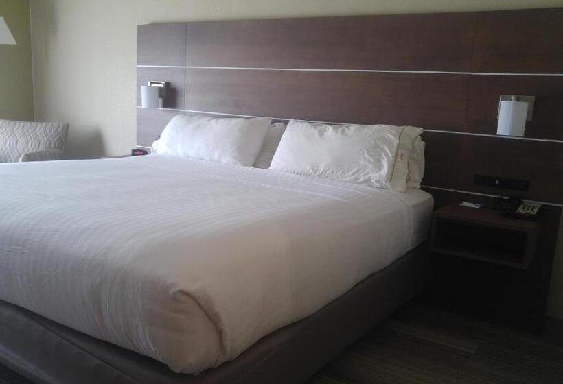 キングサイズベッドのエクゼクティブルーム, Holiday Inn Express & Suites Miami, An Ihg