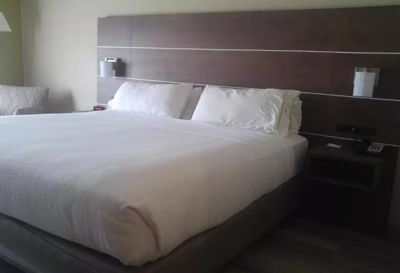 キングサイズベッドのエクゼクティブルーム, Holiday Inn Express & Suites   Miami, An Ihg