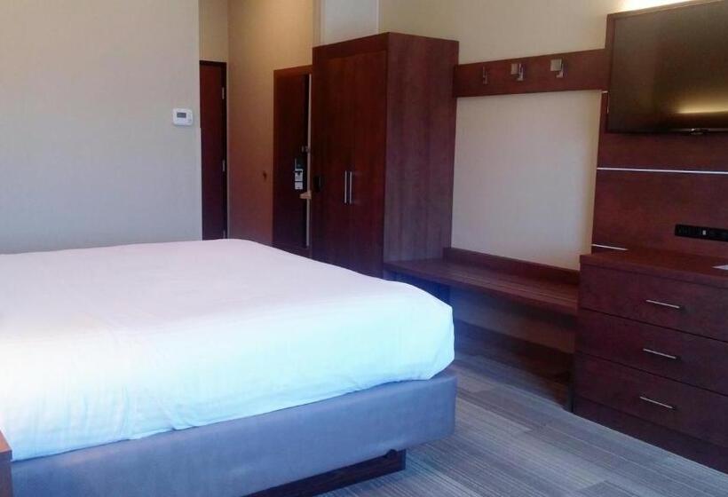 장애인을 위한 킹사이즈 침대 스탠다드 룸, Holiday Inn Express & Suites   Miami, An Ihg