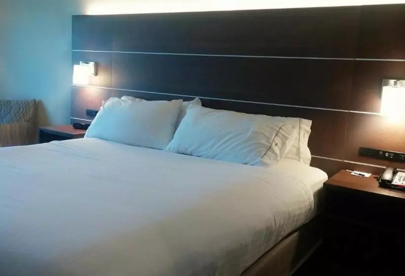 身障者適用キングサイズベッドルーム, Holiday Inn Express & Suites   Miami, An Ihg