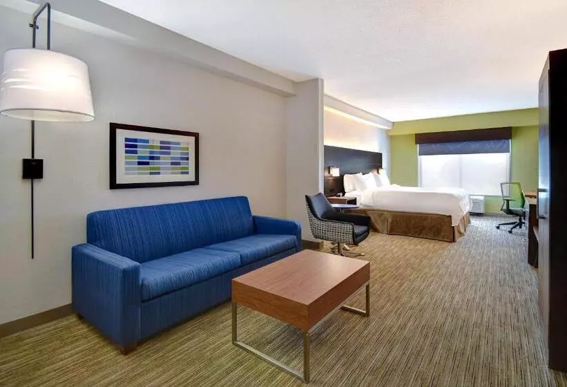 キングサイズベッドのスイートルーム, Holiday Inn Express Hotel & Suites Smyrna Nashville Area, An Ihg