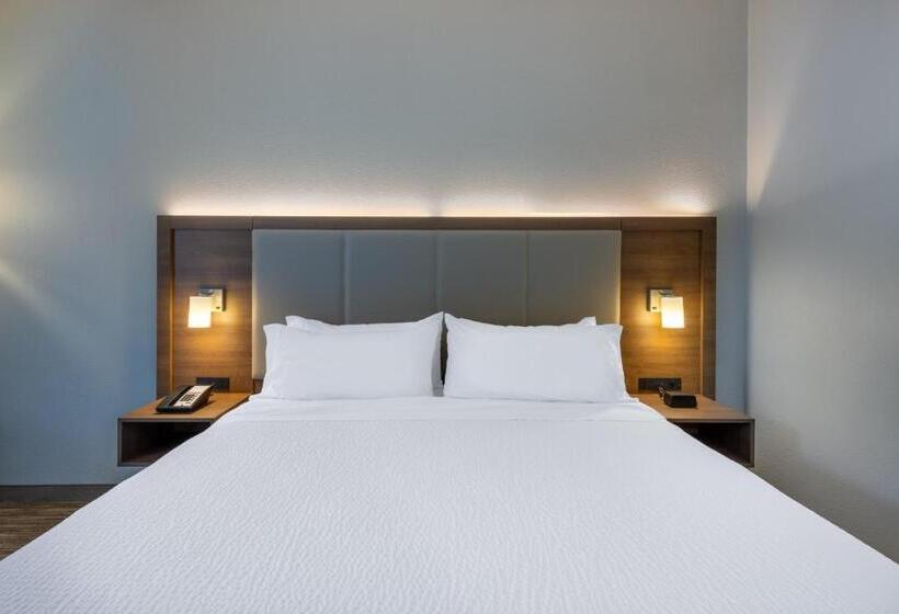 장애인을 위한 킹사이즈 침대 스탠다드 룸, Holiday Inn Express State College At Williamsburg Square, An Ihg