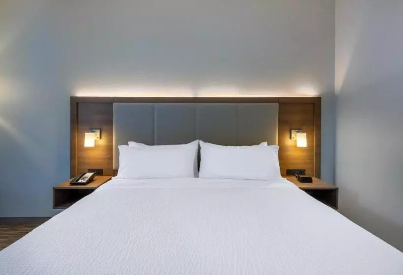 身障者適用キングサイズベッドルーム, Holiday Inn Express State College At Williamsburg Square, An Ihg