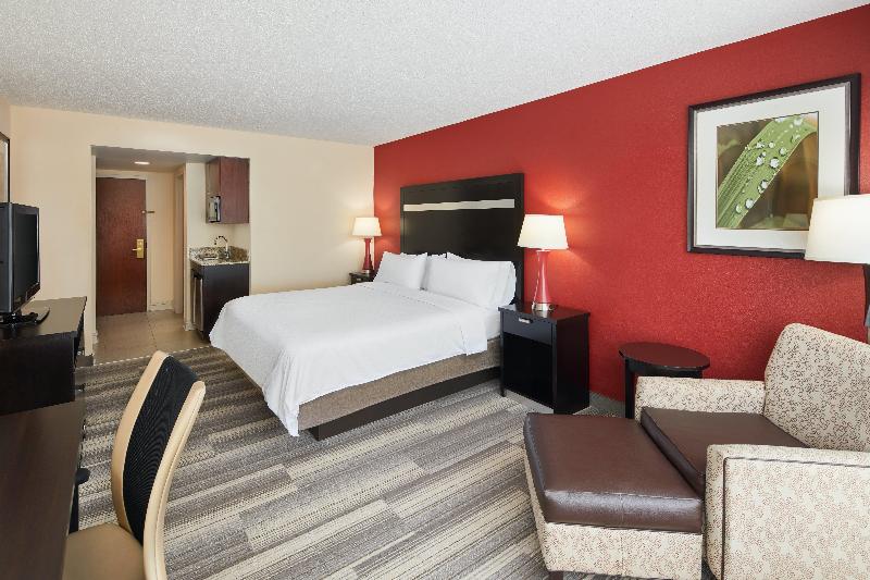 キングサイズベッドのスタンダードルーム, Holiday Inn Express & Suites I 26 & Us 29 At Westgate Mall, An Ihg