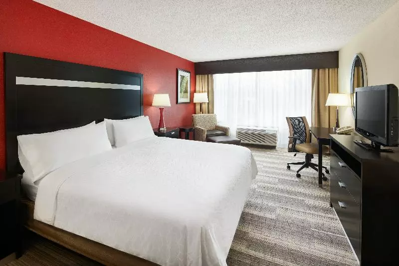 キングサイズベッドのスタンダードルーム, Holiday Inn Express & Suites I 26 & Us 29 At Westgate Mall, An Ihg