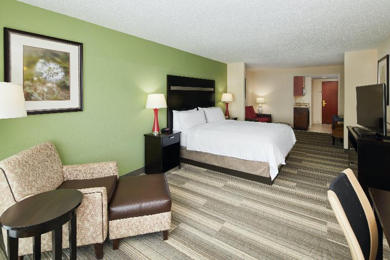 キングサイズベッドのエクゼクティブルーム, Holiday Inn Express & Suites I 26 & Us 29 At Westgate Mall, An Ihg