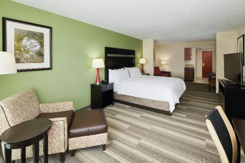 キングサイズベッドのエクゼクティブルーム, Holiday Inn Express & Suites I 26 & Us 29 At Westgate Mall, An Ihg