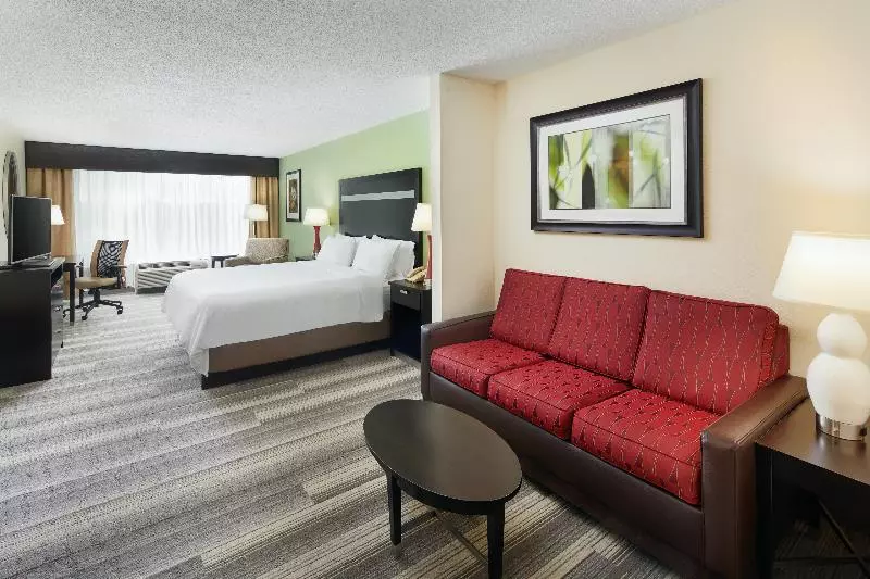 キングサイズベッドのエクゼクティブルーム, Holiday Inn Express & Suites I 26 & Us 29 At Westgate Mall, An Ihg
