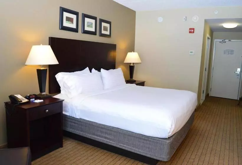キングサイズベッドのスタンダードルーム, Holiday Inn Express & Suites Malone, An Ihg