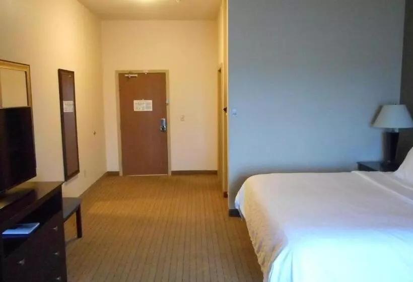キングサイズベッドのスタンダードルーム, Holiday Inn Express Washington Court House, An Ihg