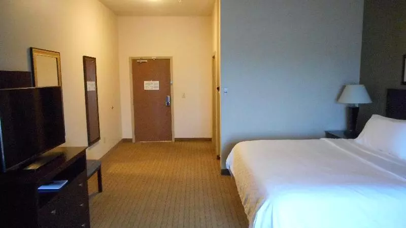 キングサイズベッドのスタンダードルーム, Holiday Inn Express Washington Court House, An Ihg